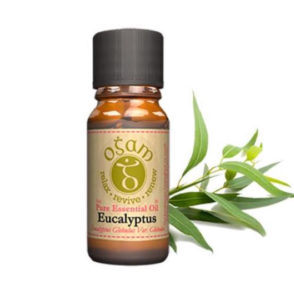 Ogam Oils Ogam Eucalyptus 10Ml